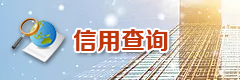 信用查询 信用查询